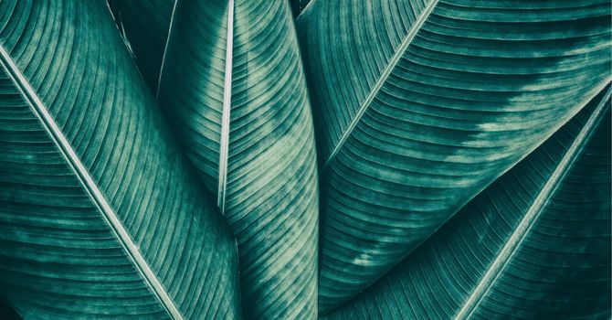 Skin Boosters- Hyaluronic Acid